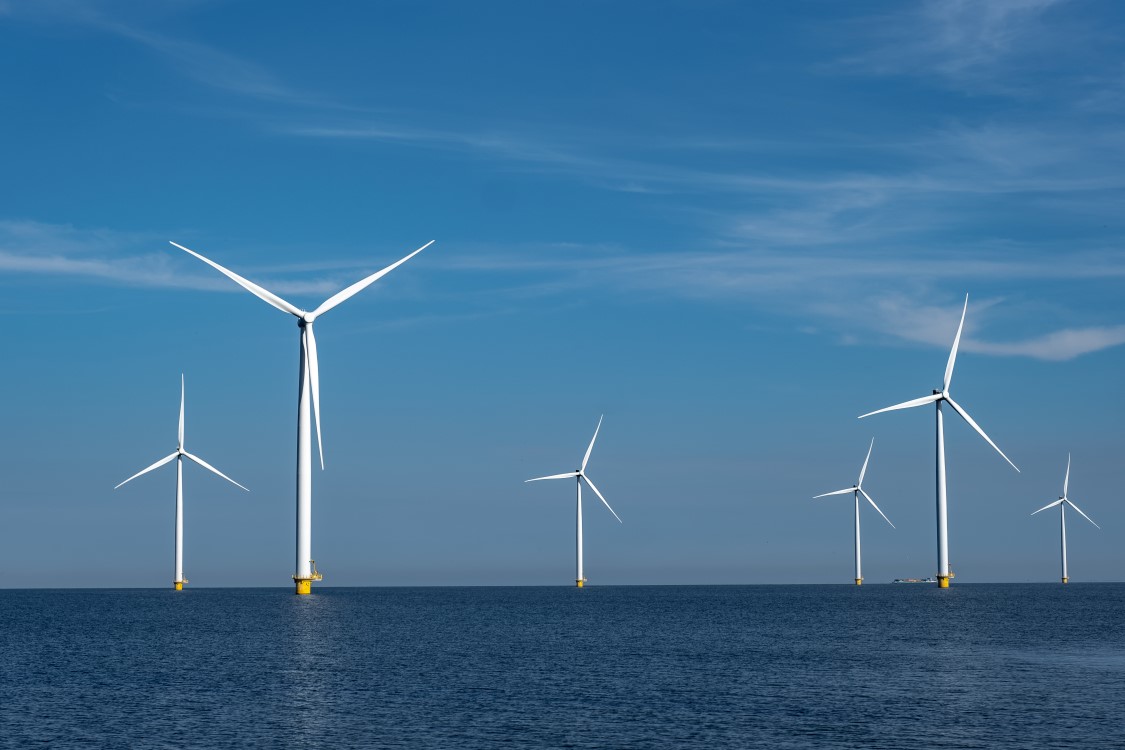 An offshore wind farm