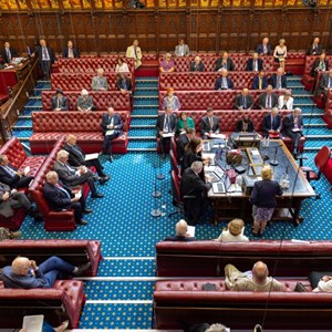 Members speaking in the House of Lords chamber