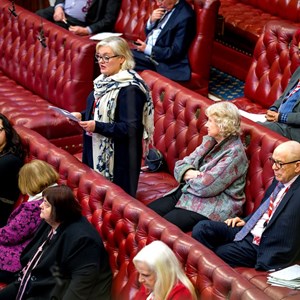 Baroness Twycross speaking in the Lords chamber