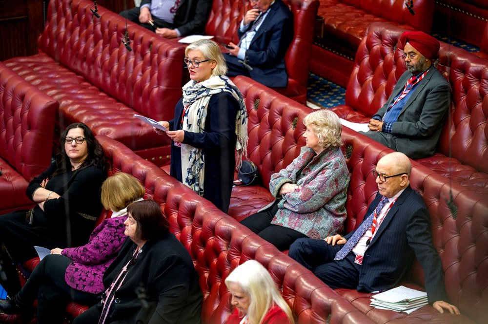 Baroness Twycross speaking in the Lords chamber