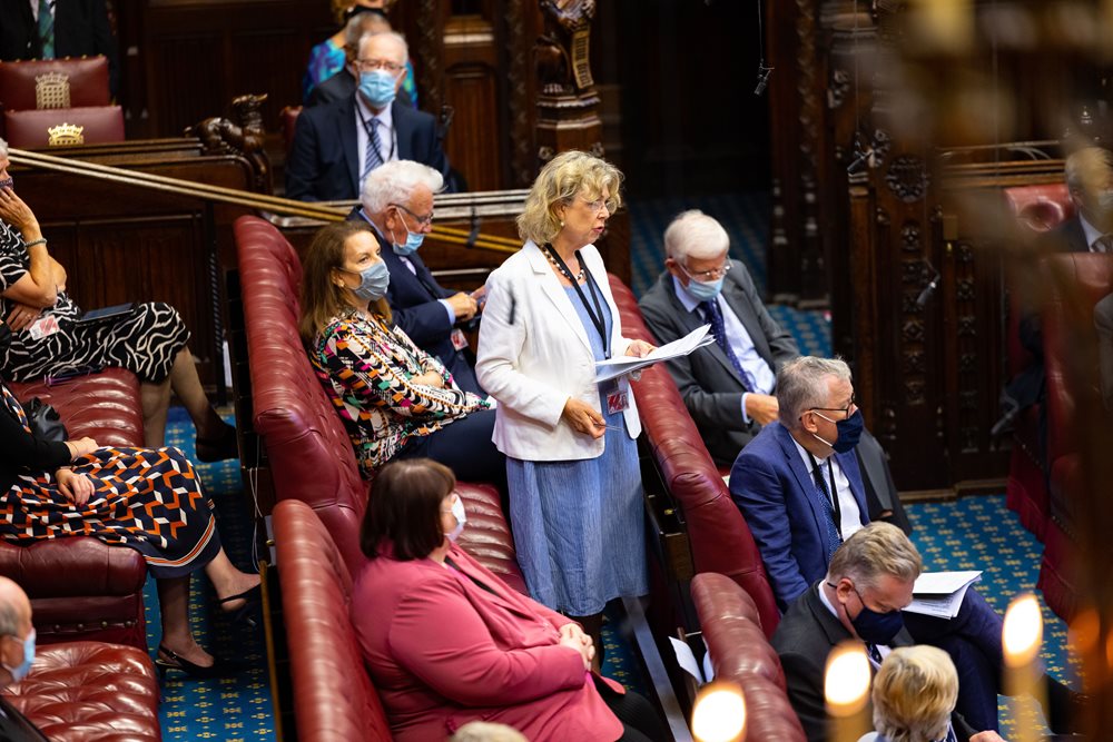 House of Lords chamber, Baroness Northover speaking