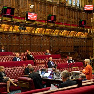 House of Lords chamber during a debate