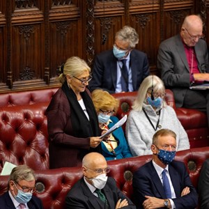 Members speaking in the House of Lords chamber