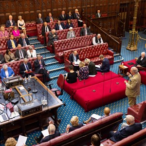 Members speaking in the House of Lords chamber