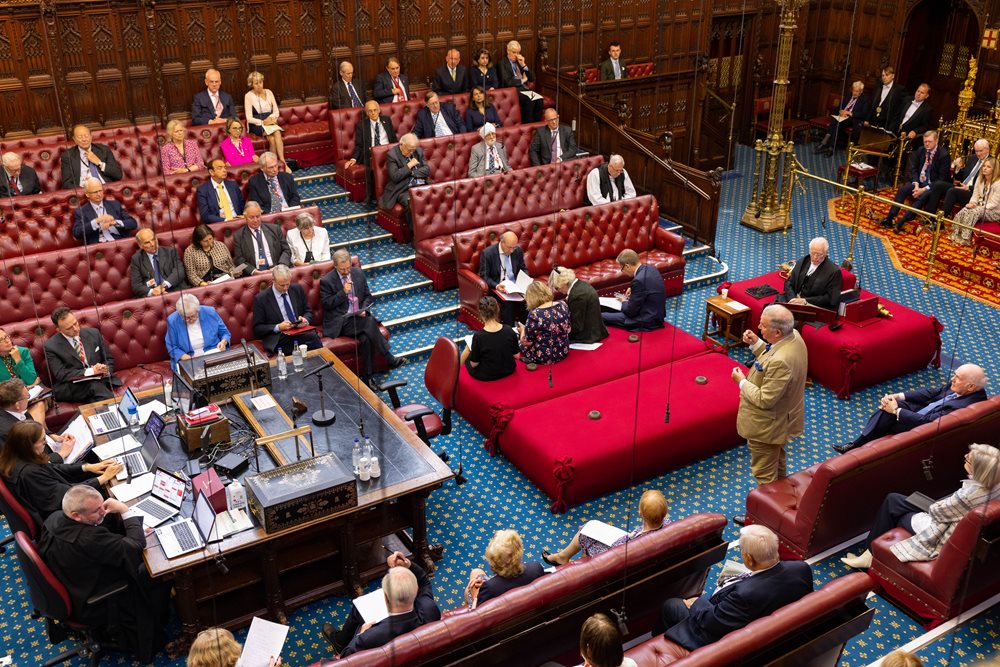 Members speaking in the House of Lords chamber