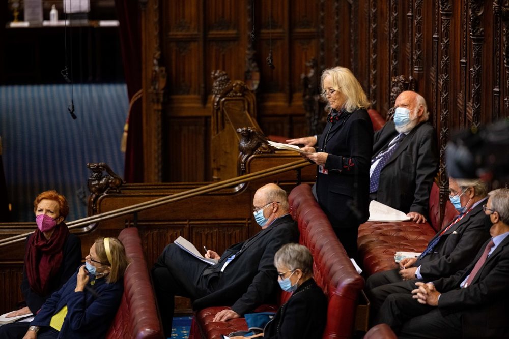 Members speaking in the House of Lords chamber