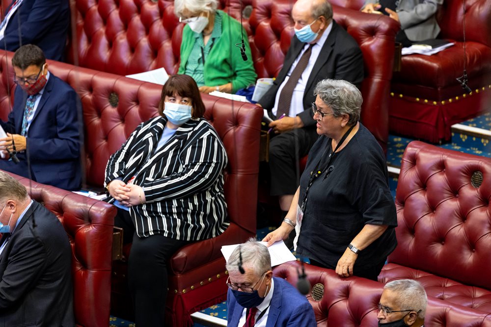 Baroness Barker speaking in the House of Lords chamber