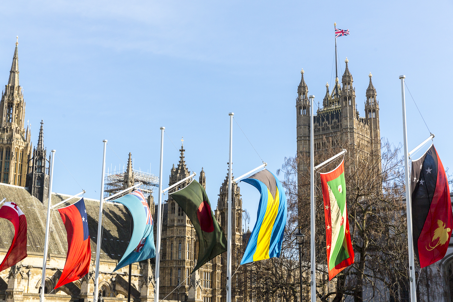 Commonwealth flags outside the houses of Parliament