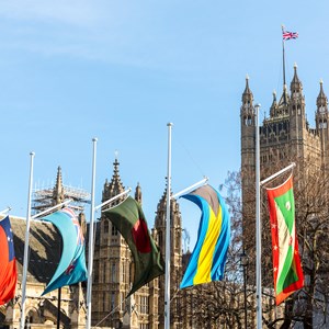 Commonwealth flags outside the houses of Parliament