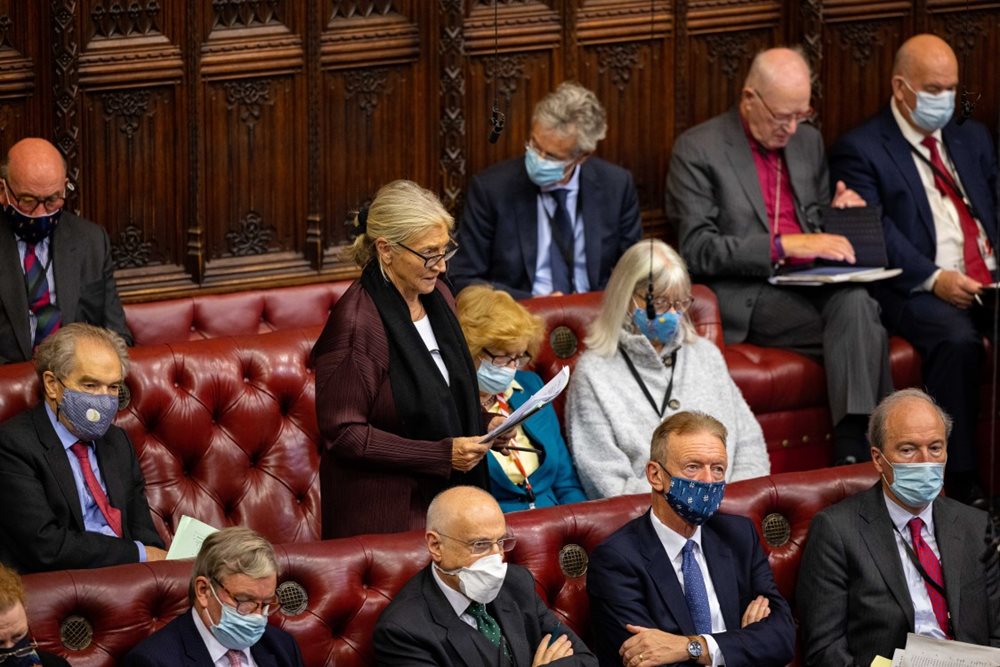 Members in the House of Lords chamber