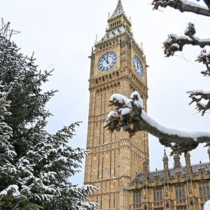 Elizabeth Tower with a snow covered tree and Christmas tree in the foreground of the picture