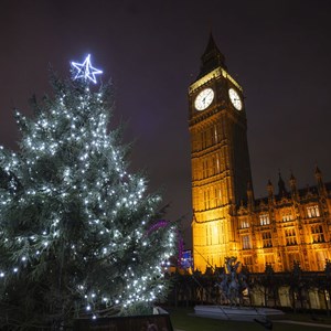 A brightly lit Christmas tree at night with the Elizabeth Tower lit in the background