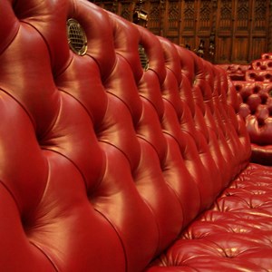 Benches in the Lords chamber