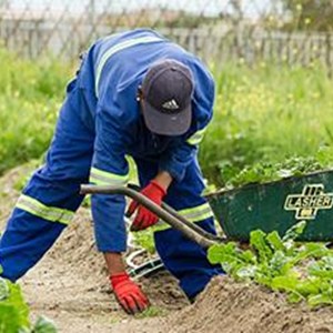 unsplash-fruit-picking-agriculture.jpg