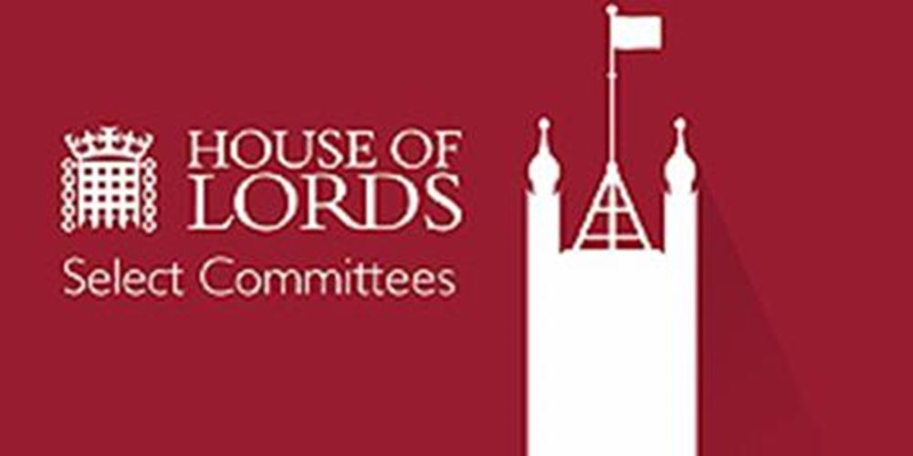 PC-lords-select-committee-module.jpg