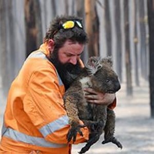 PA-Australia-bushfires-standard.jpg