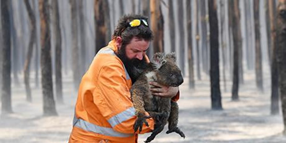 PA-Australia-bushfires-standard.jpg