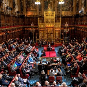 Members of the House of Lords participating in a debate