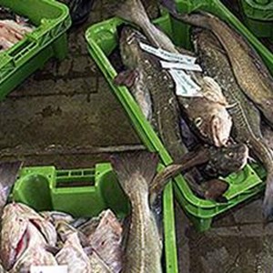 PA-UK-fisheries-industry-standard.jpg