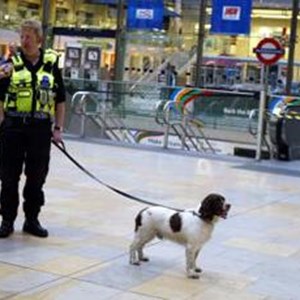 PA-policeofficers-snifferdogs-standard.png