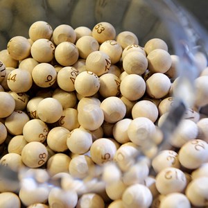 A glass bowl containing numbered wooden balls