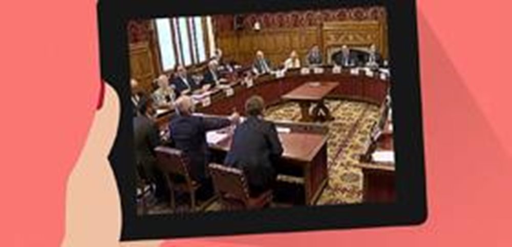 Lords Select Committee.aspx.jpg